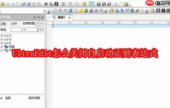 ultraedit怎么关闭自启动正则表达式