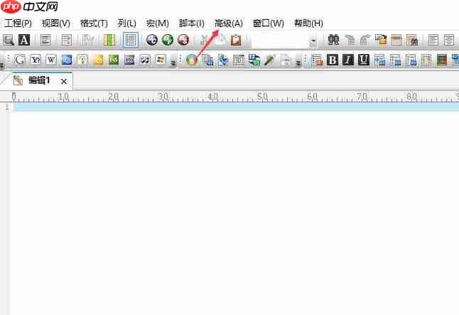 UltraEdit怎么关闭自启动正则表达式