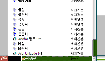 Adobe Photoshop怎么安装新字体