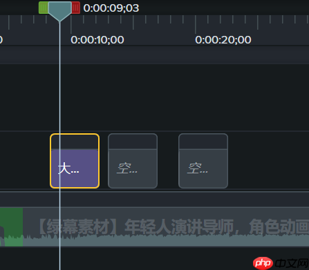 Camtasia怎么设置字幕位置