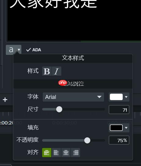 Camtasia怎么设置字幕位置