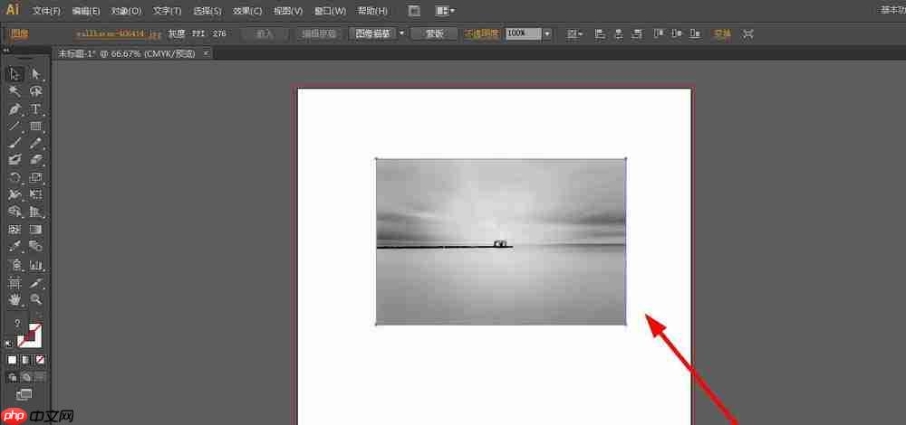 ai将图片素材去色的方法步骤
