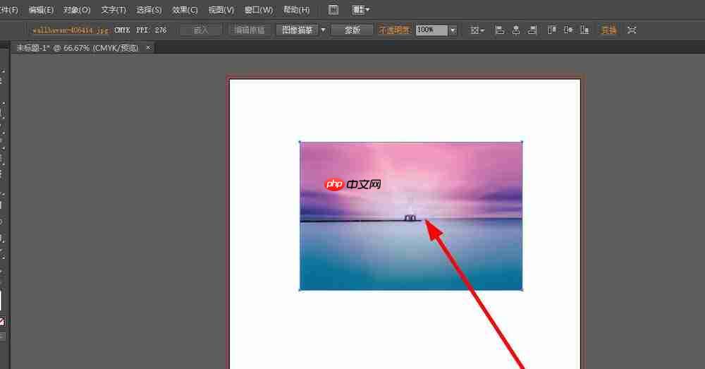 ai将图片素材去色的方法步骤