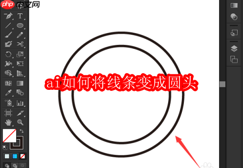 ai如何将线条变成圆头