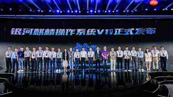 中国操作系统银河麒麟V11正式发布