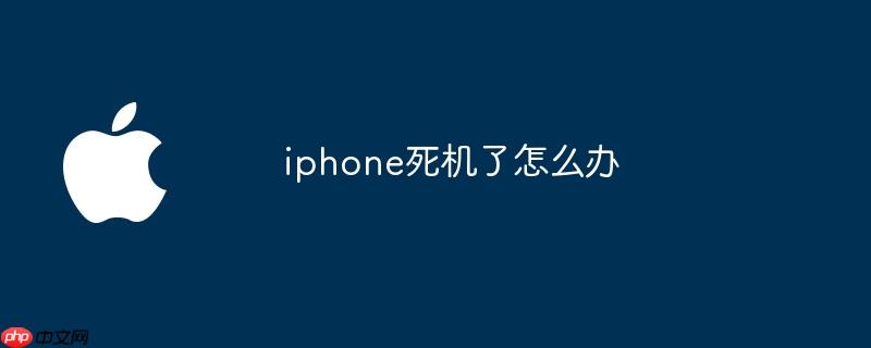 iphone死机了怎么办