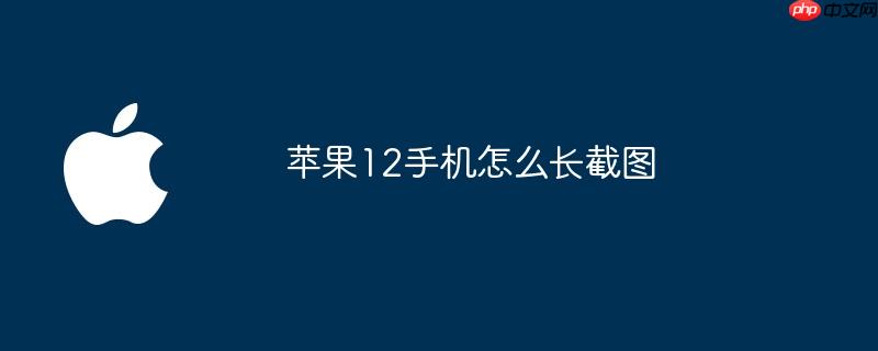 苹果12手机怎么长截图