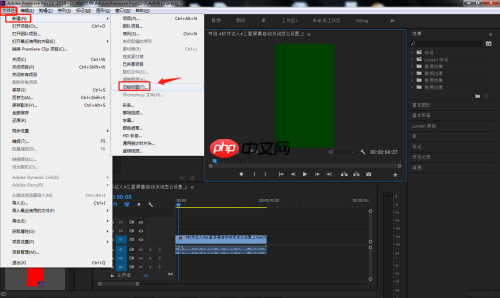 Premiere怎么设置残缺字幕
