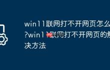 win11联网打不开网页怎么办?win11联网打不开网页的解决方法
