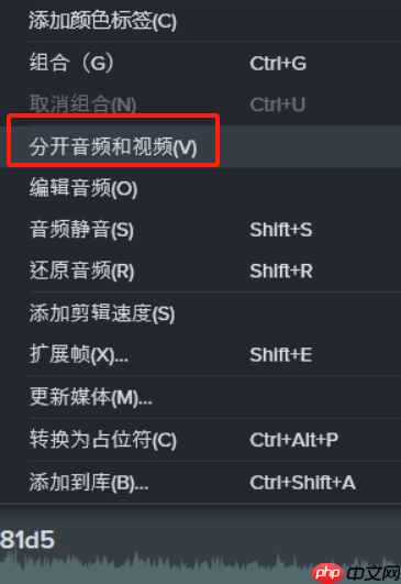 Camtasia怎么分离人声和噪音
