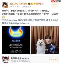伞兵携“神秘小狗”赴苹果之约  京东官方转发暗示九月重磅联动