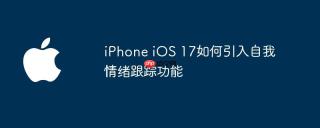 iPhone iOS 17如何引入自我情绪跟踪功能