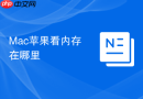 Mac苹果看内存在哪里