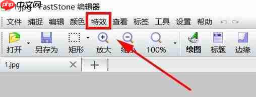 FastStone Capture如何将照片做成底片