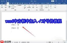 word中方框中加入√对号的教程