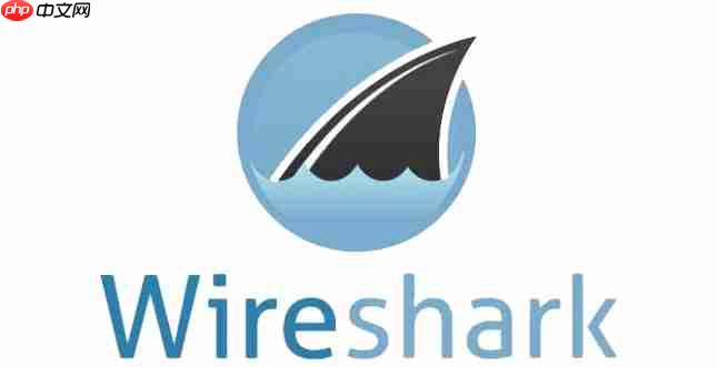 wireshark捕获过滤器怎么用