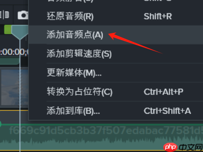 Camtasia多轨道音频同步处理