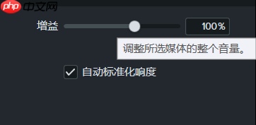 Camtasia多轨道音频同步处理
