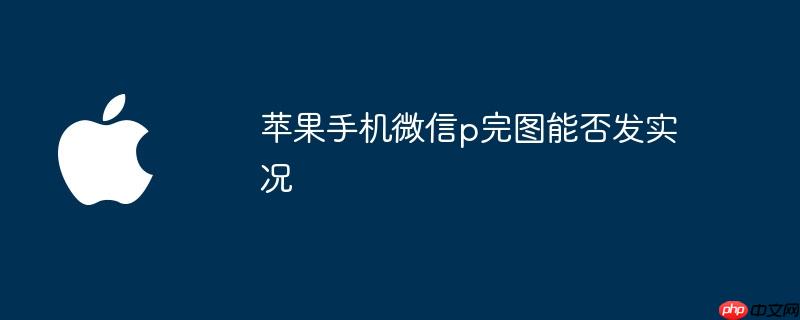 苹果实况照片壁纸下载 苹果实况照片怎么发给微信
