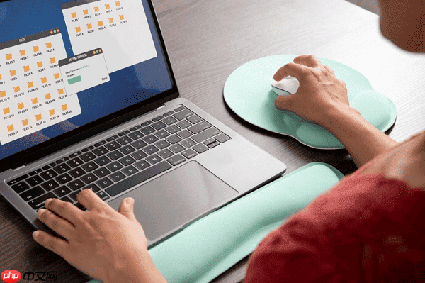 怎么删除文件夹里重复的文件 教你一招快速清理