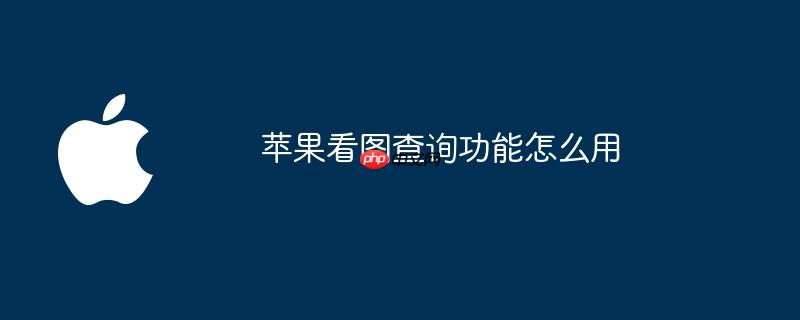 苹果看图查询功能怎么用