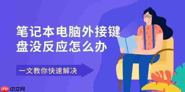 笔记本电脑外接键盘没反应怎么办 一文教你快速解决