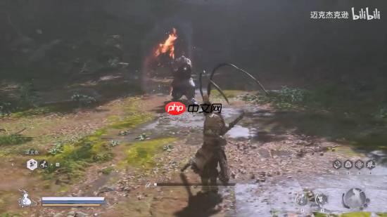 取到真经了！大神将印度大作摸头闪避做进《黑神话》