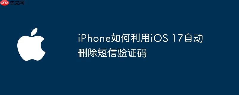 iphone如何利用ios 17自动删除短信验证码