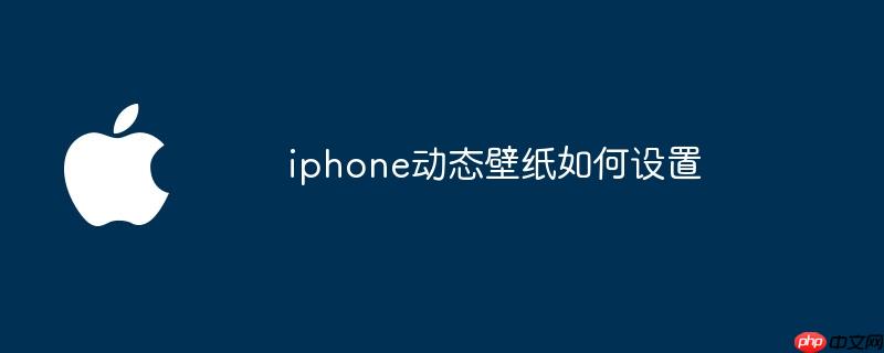 iphone动态壁纸如何设置