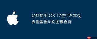 如何使用iOS 17进行汽车仪表盘警报识别图像查询