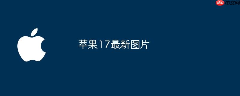 苹果17最新图片