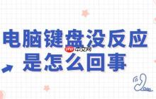 电脑键盘没反应是怎么回事 轻松解决不求人！