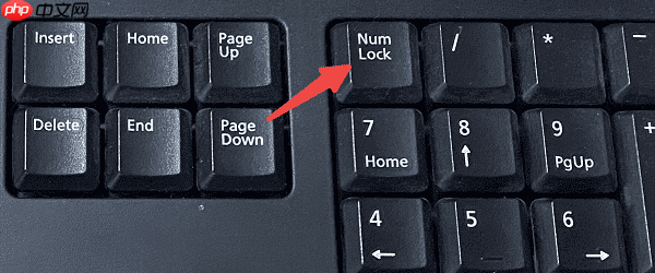 电脑打不了字了按哪个按键恢复 电脑键盘按键恢复教程