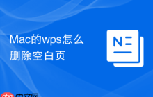Mac的wps怎么删除空白页