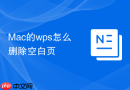 Mac的wps怎么删除空白页