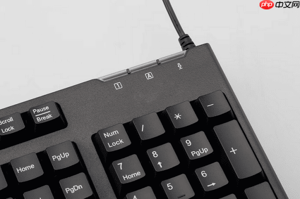 电脑打字打不出来是怎么回事 原因分析及解决方法