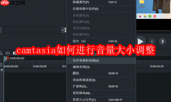 camtasia如何进行音量大小调整