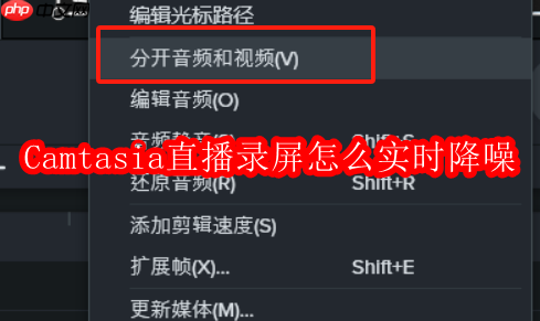 Camtasia直播录屏怎么实时降噪