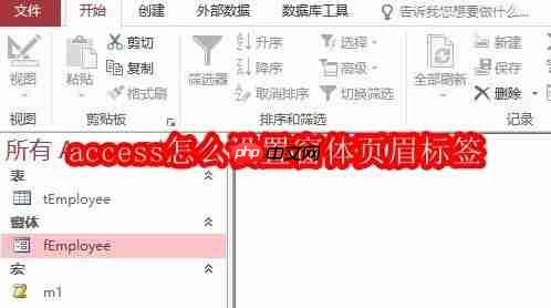 access怎么設置窗體頁眉標簽