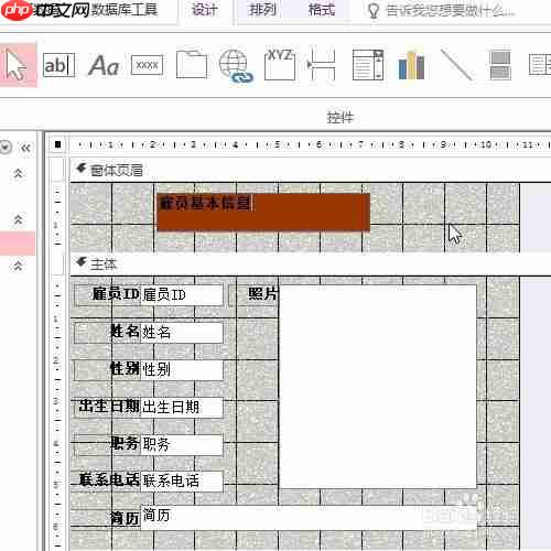 access怎么設置窗體頁眉標簽