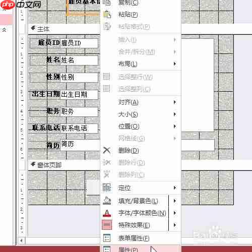 access怎么設置窗體頁眉標簽