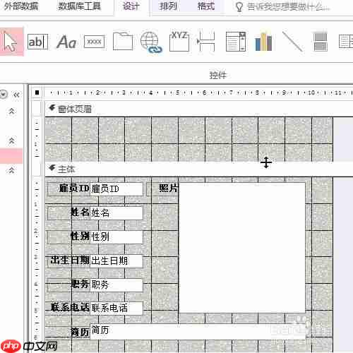 access怎么設置窗體頁眉標簽