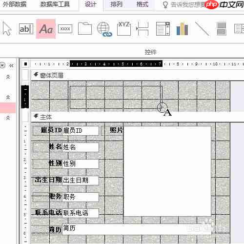 access怎么設置窗體頁眉標簽