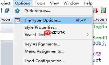 source insight如何设置高亮