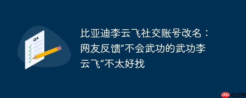 比亚迪李云飞社交账号改名:网友反馈“不会武功的武功李云飞”不太好找