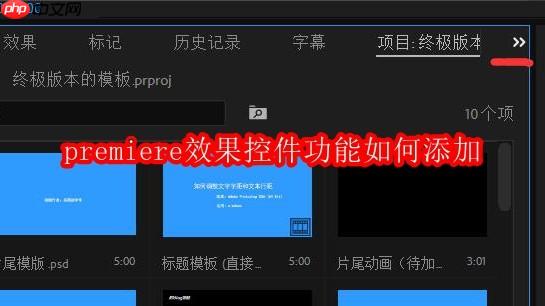 premiere效果控件功能如何添加