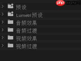 premiere效果控件功能如何添加