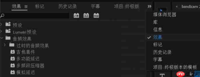 premiere效果控件功能如何添加