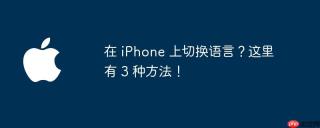 在 iPhone 上切换语言？这里有 3 种方法！