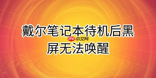 戴尔笔记本待机后黑屏无法唤醒的原因及解决方法